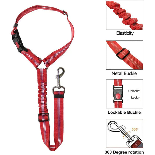 2-in-1 Dog Harness and Leash
